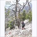 /general//trekking in bridgers.jpg